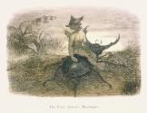 "The Faiy Queen's Messenger"