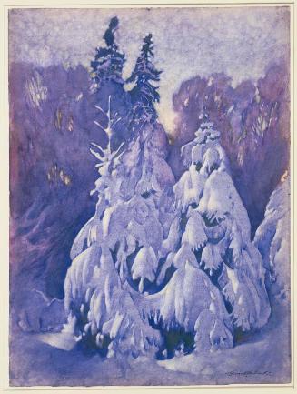 Snow Drapery