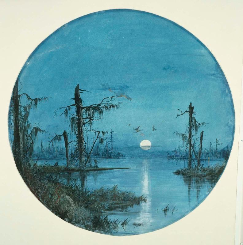 Bayou in Moonlight