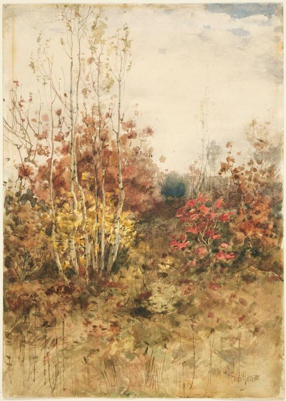Woods in the Fall