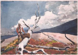 Woodsman and Fallen Tree