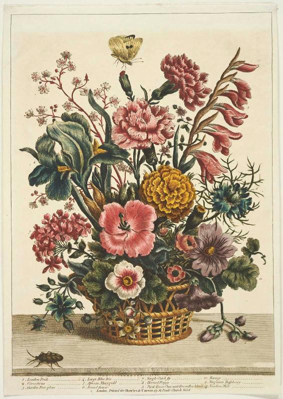 Basket of Flowers including London Pride, Carnations and Ten others, with beetle, on table (Probably from T. Bowles, "Four Arrangements in Baskets" 1775. [with June's name burnished out])