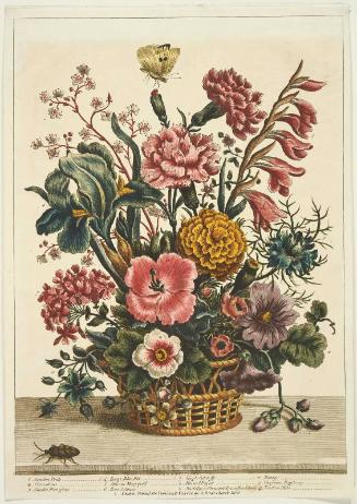 Basket of Flowers including London Pride, Carnations and Ten others, with beetle, on table (Probably from T. Bowles, "Four Arrangements in Baskets" 1775. [with June's name burnished out])