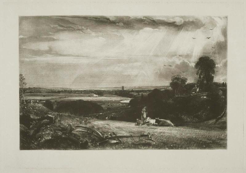 Summer Morning