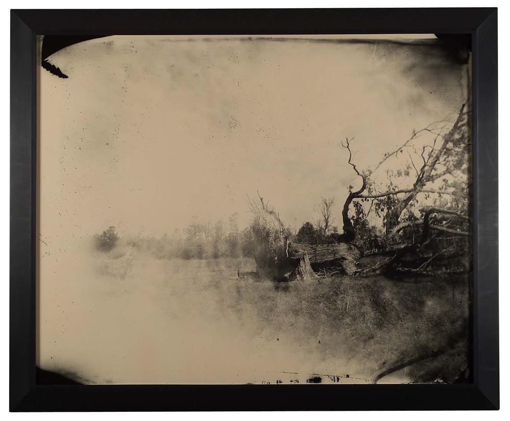 Deep South, Untitled (Fallen Tree)