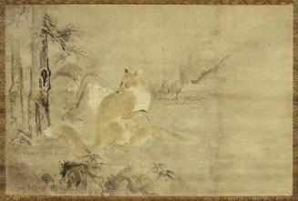 Foxes