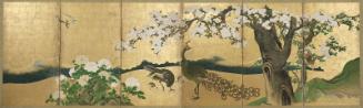 Cherry Blossoms and Peacocks