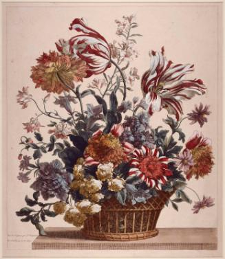 Large upright basket of two full blown tulips, anemones, Maonthly rose, etc.