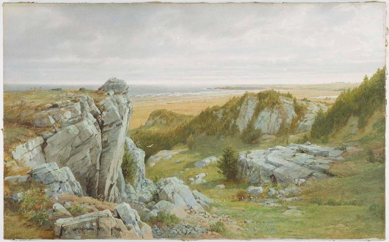Near Paradise, Newport