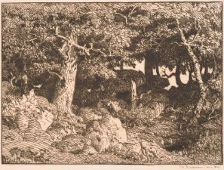 The Oak Tree of the Rock, Forest of Fontainebleau