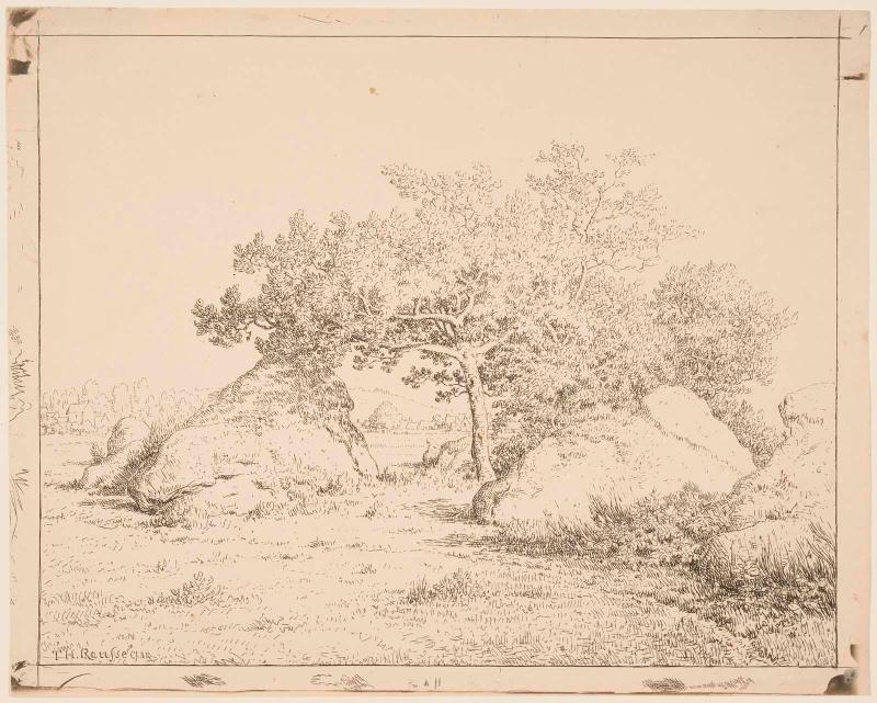 Cherry Tree at La Plante-à-Biau