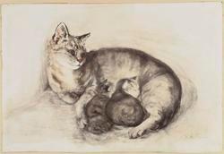 Cat and Kittens ("Puddy')