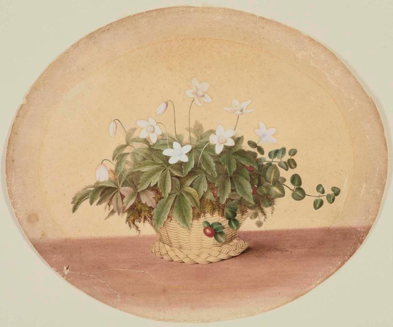 Basket of White Flowers and Partridge Berries