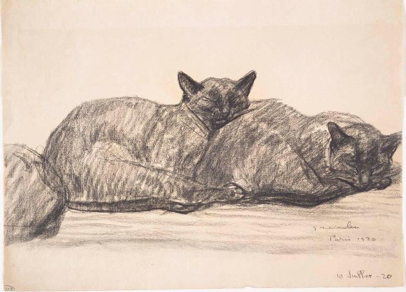 Two Cats Sleeping