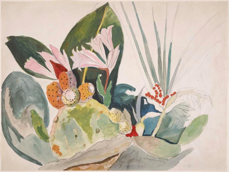 Cactus and Tropical Foliage