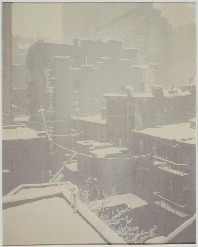 From the Back Window -- "291" (2)