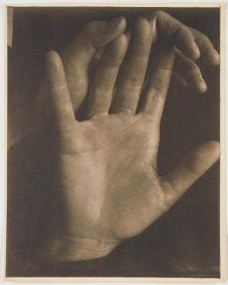 Rebecca's Hands, New York