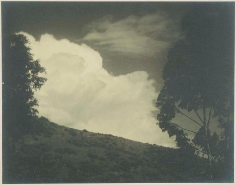 White Cloud