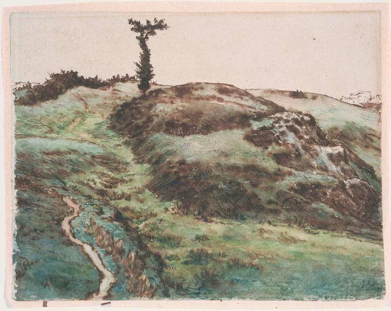 Hillside Meadow with a Twisted Tree