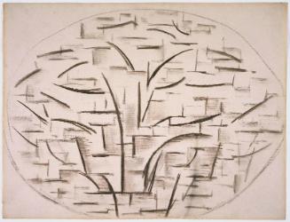 Apple Tree