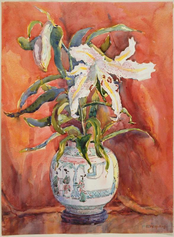 Auratum Lily
