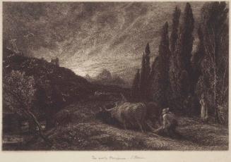 The Early Ploughman