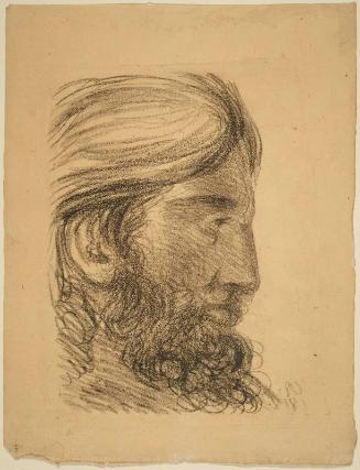 Head of  Bearded Man in Profile