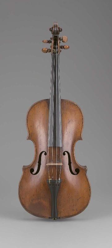 Viola