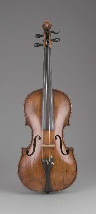 Viola