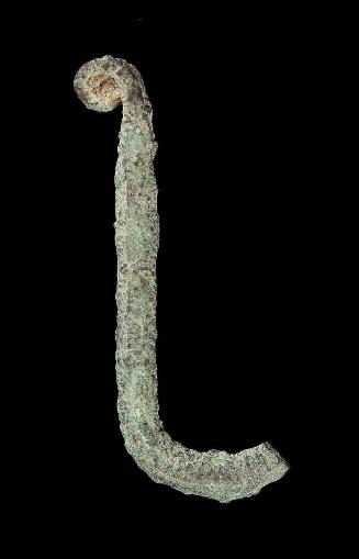 Fish hook