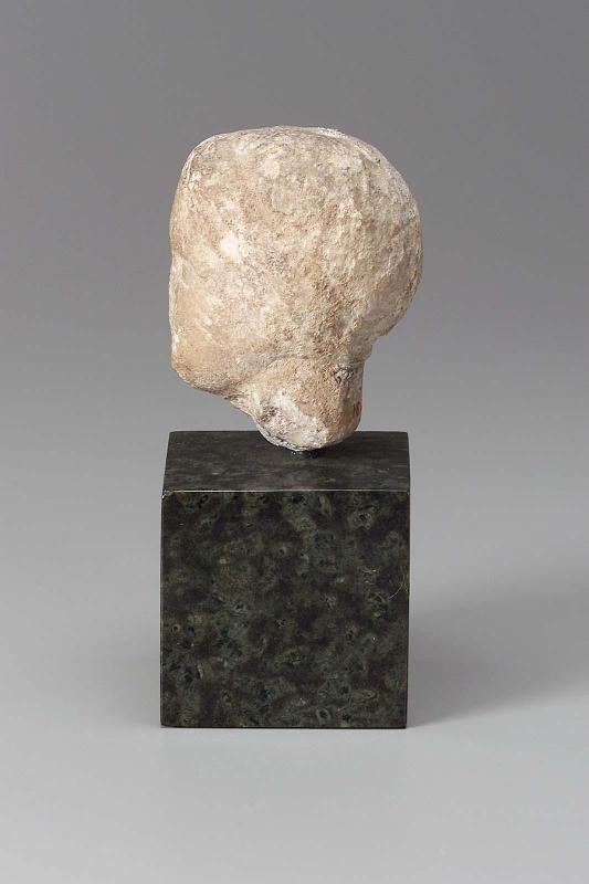 Head of an athletic youth