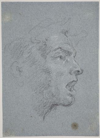 Head of a Youth Shouting, in Profile to the Right