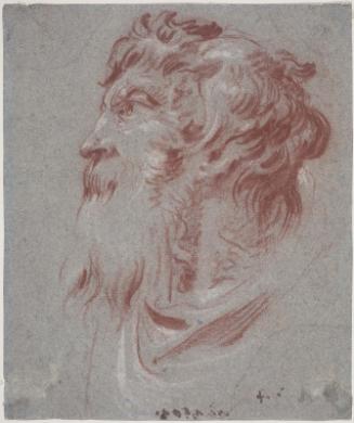 Head of a Bearded Man Looking to the Left