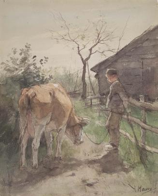 Boy Tending Cow