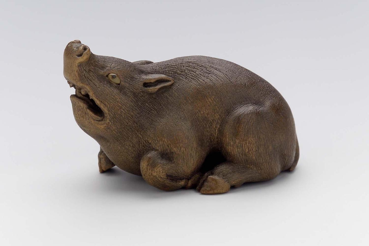 Boar