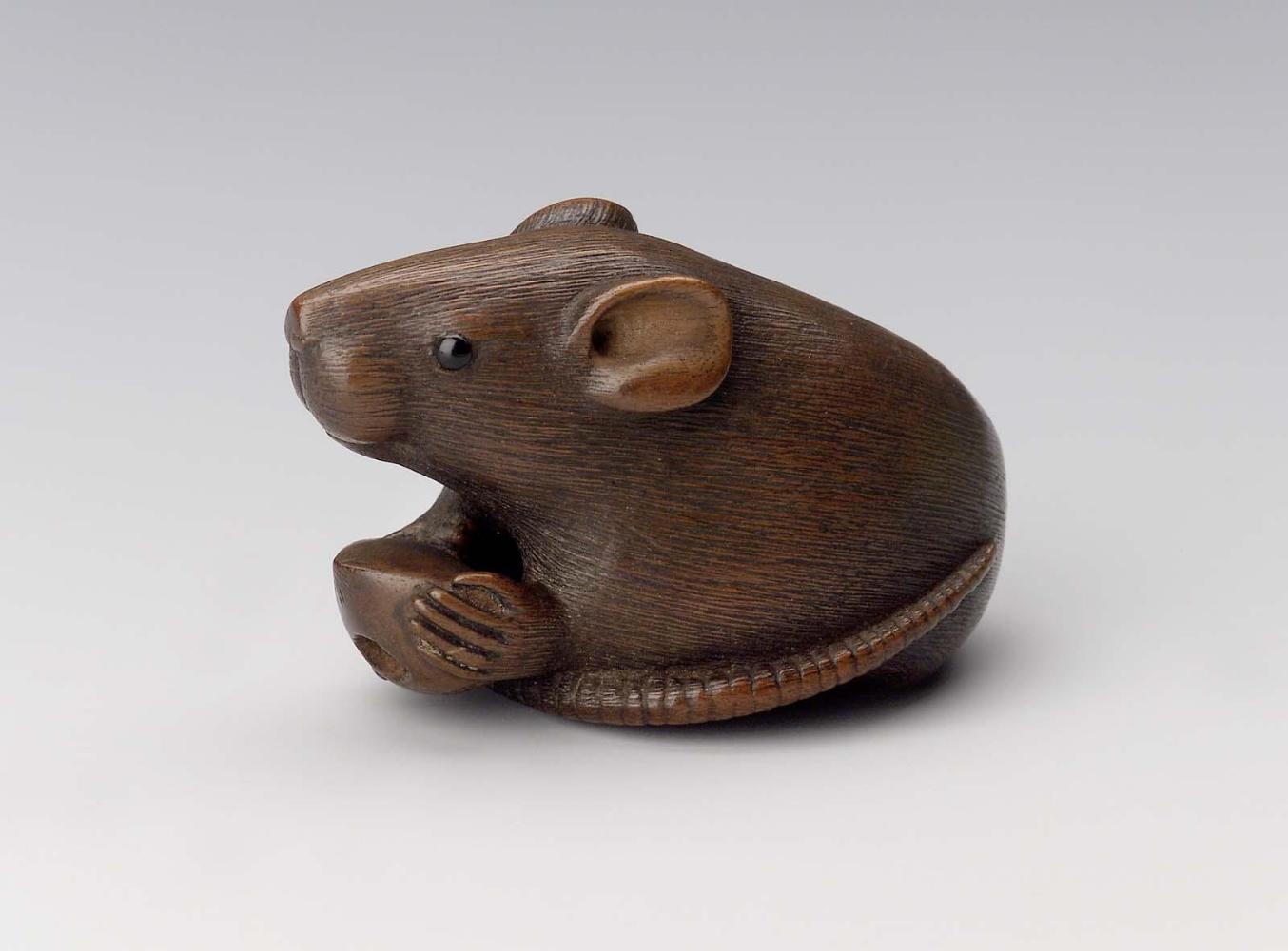 Rat With Chestnut