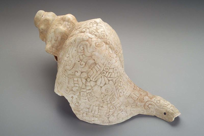 Conch shell trumpet
