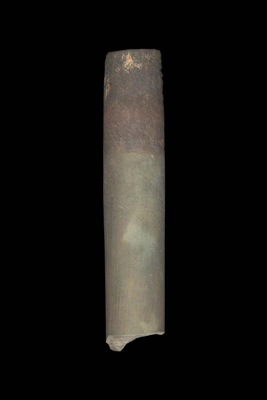 Ear rod