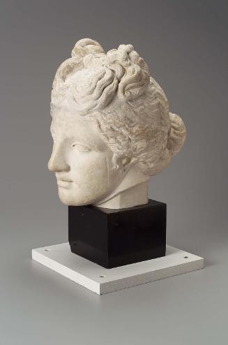 Head of Aphrodite of the Capitoline type