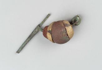 Fibula
