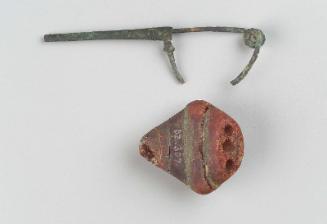 Fibula