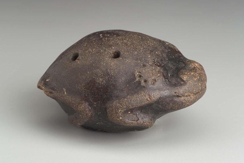 Bufo marinus effigy