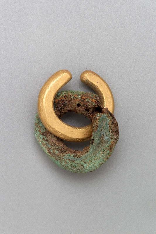 Intertwined nose rings