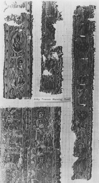 Fragments of shoulder bands (clavus)