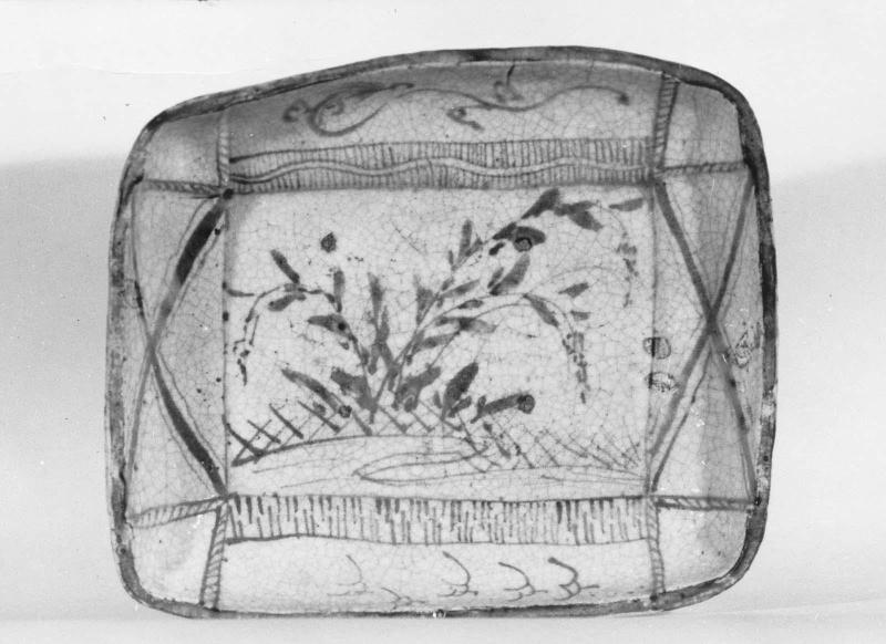 Dish