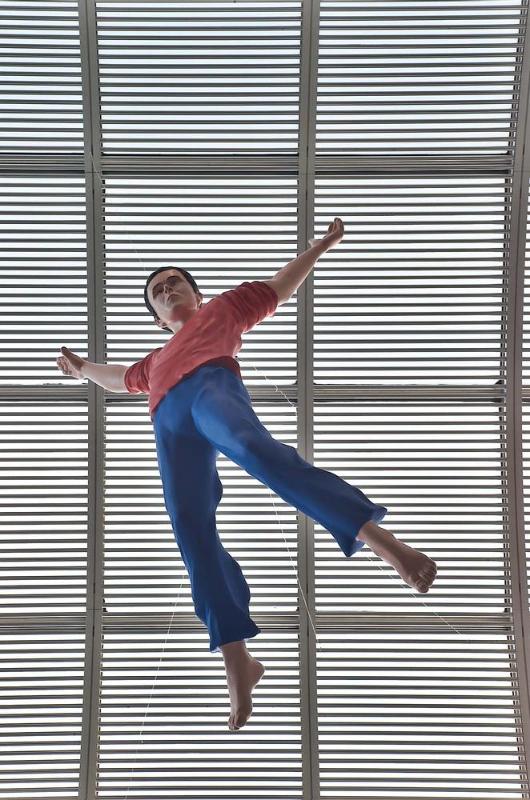 I Dreamed I Could Fly