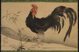 Black Rooster and Bamboo