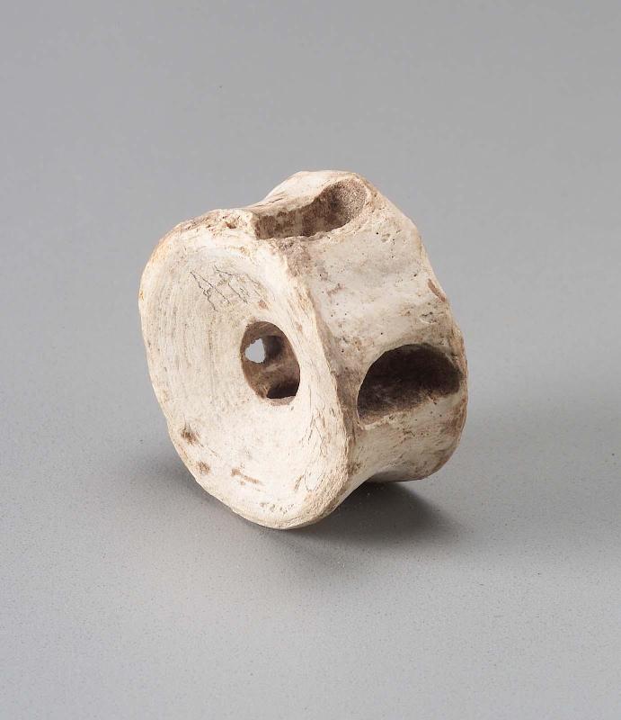 Fish vertebra game piece