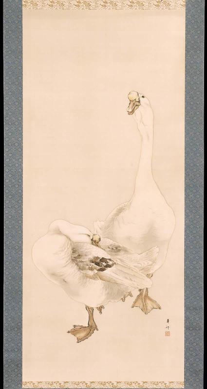 Two Geese