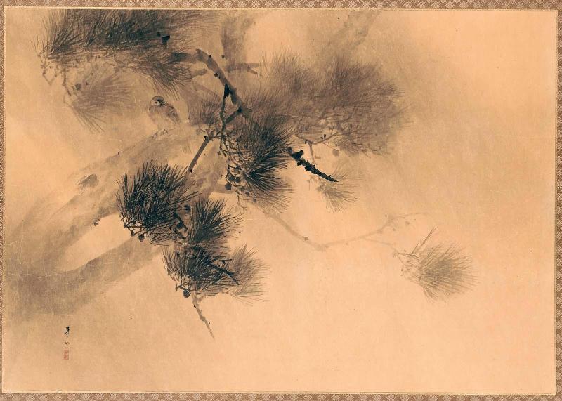 Sparrow and Pine in the Rain